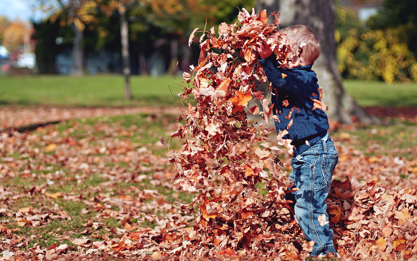 5 naturaktiviteter du kan lave med ungerne i efteråret
