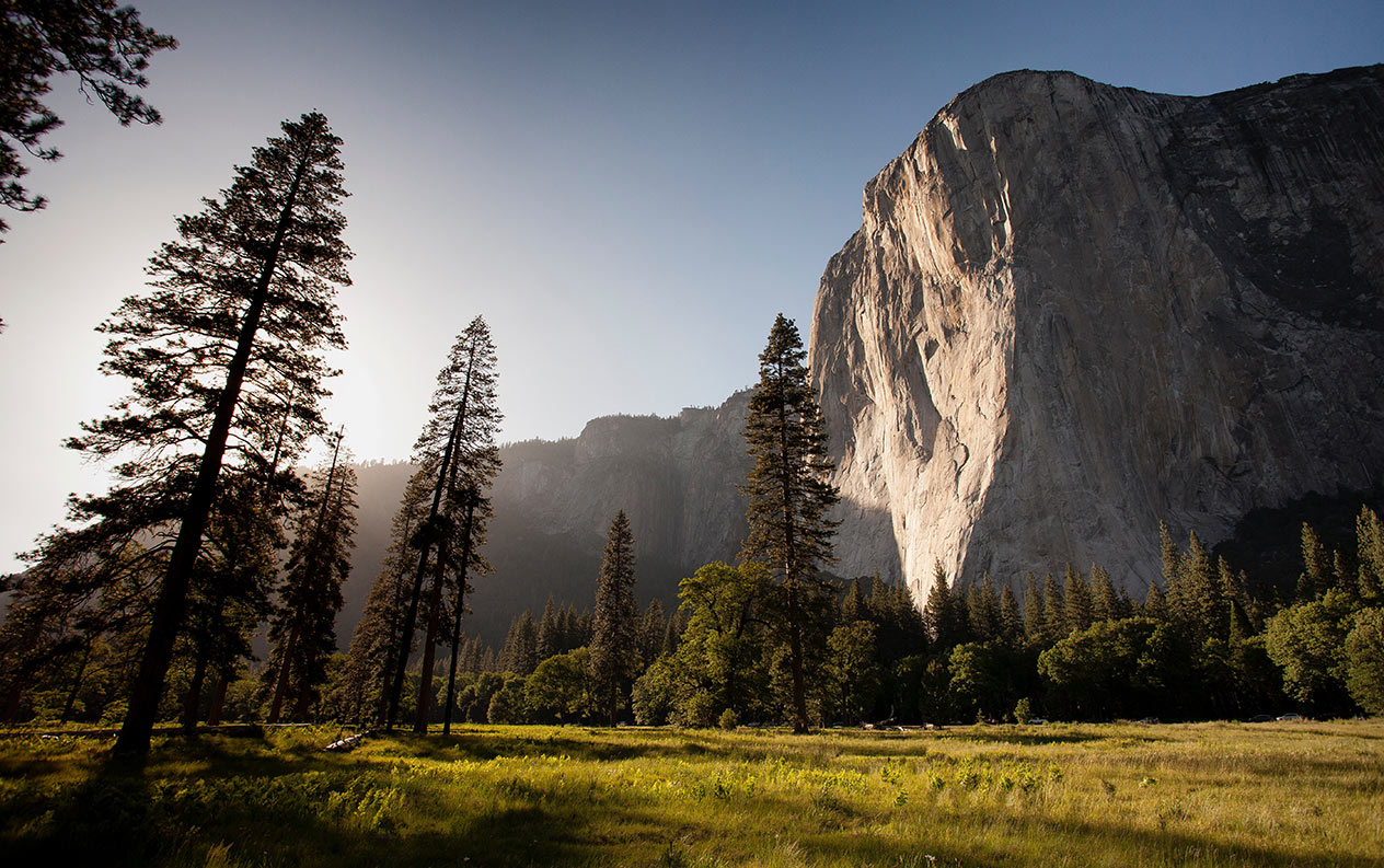 De 3 bedste dagsture i Yosemite National Park